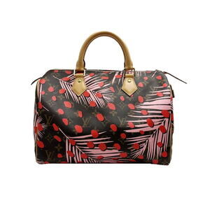 Louis Vuitton Handbag Jungle Dot Speedy